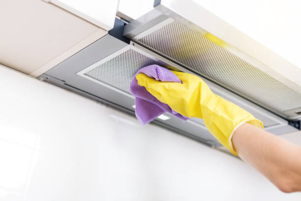 Best Emergency Air Duct Cleaning  in Lapeer, MI